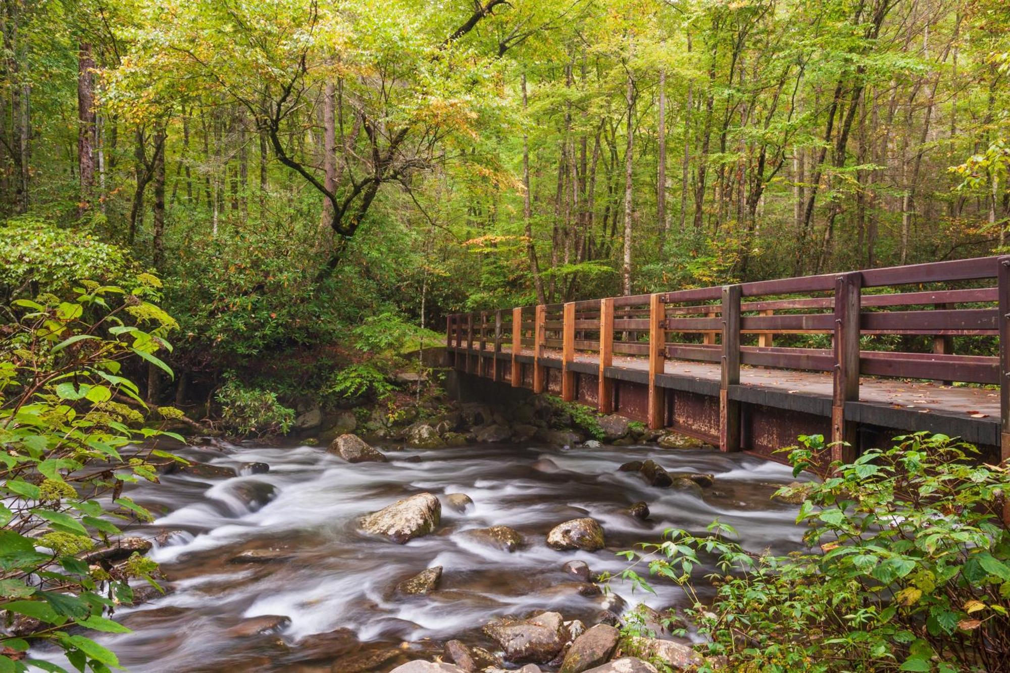 River Song, Near River, Hot Tub, Foosball, Wifi 1089 Free Tickets Each Paid Day, Dollywood And More 세비어빌 외부 사진
